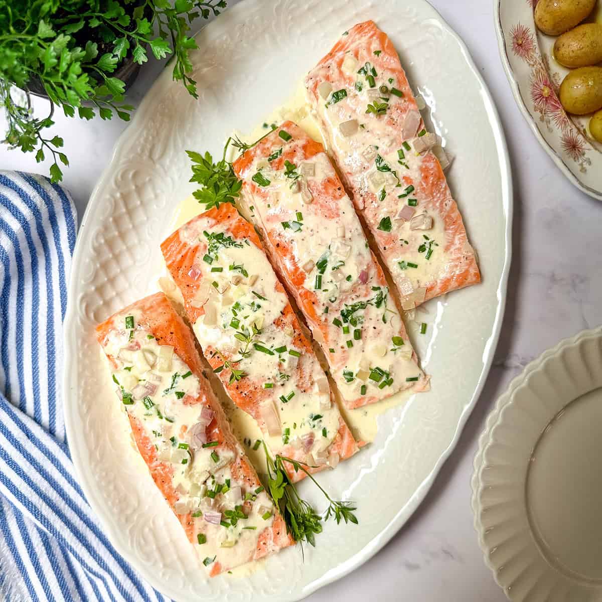 Four baked salmon fillets topped with a rich herb cream sauce and chopped herbs are arranged on a white oval platter. This elegant baked salmon recipe is complemented by a striped napkin, green herb plant, and small potatoes nearby.