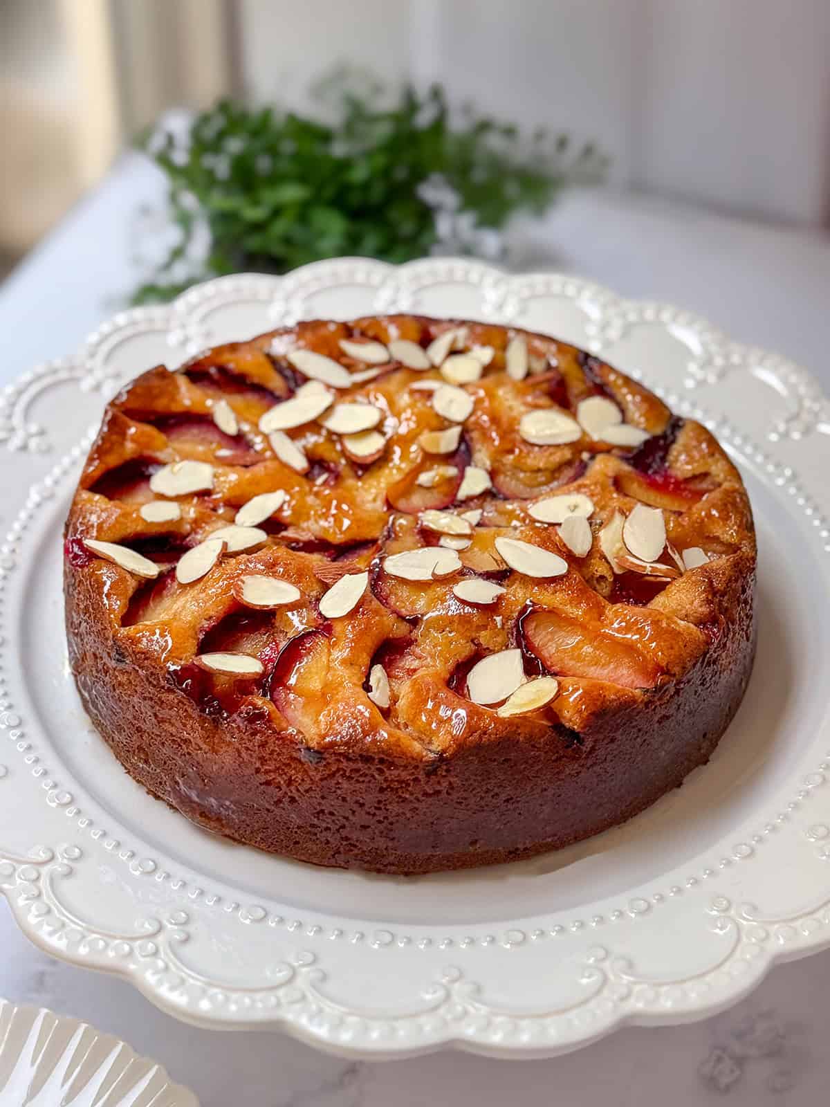 Whole plum almond cake topped with sliced plums, apricot glaze, and sliced almonds on a white serving cake stand.