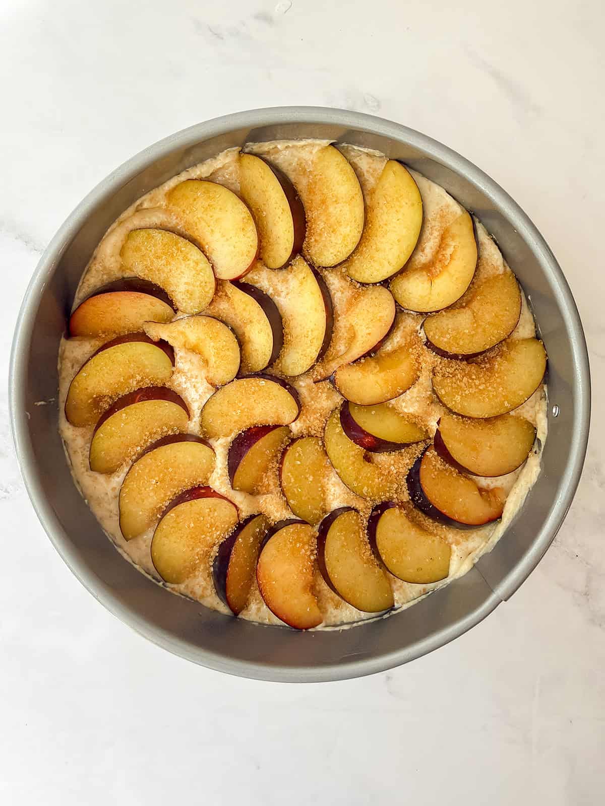 Topping cake batter with sliced plums before baking the plum cake.