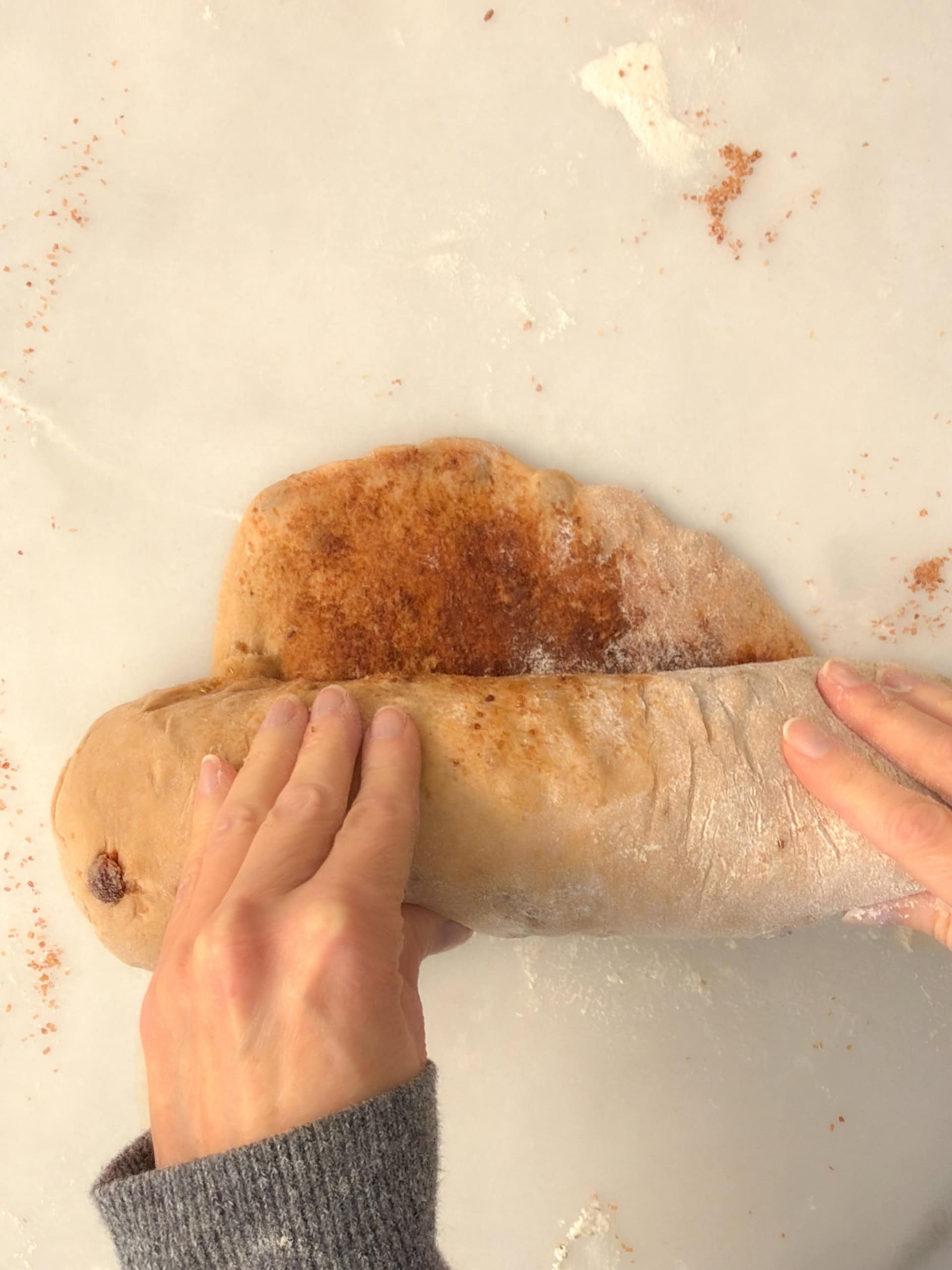 Rolling cinnamon-filled whole wheat raisin bread dough into a snug loaf.