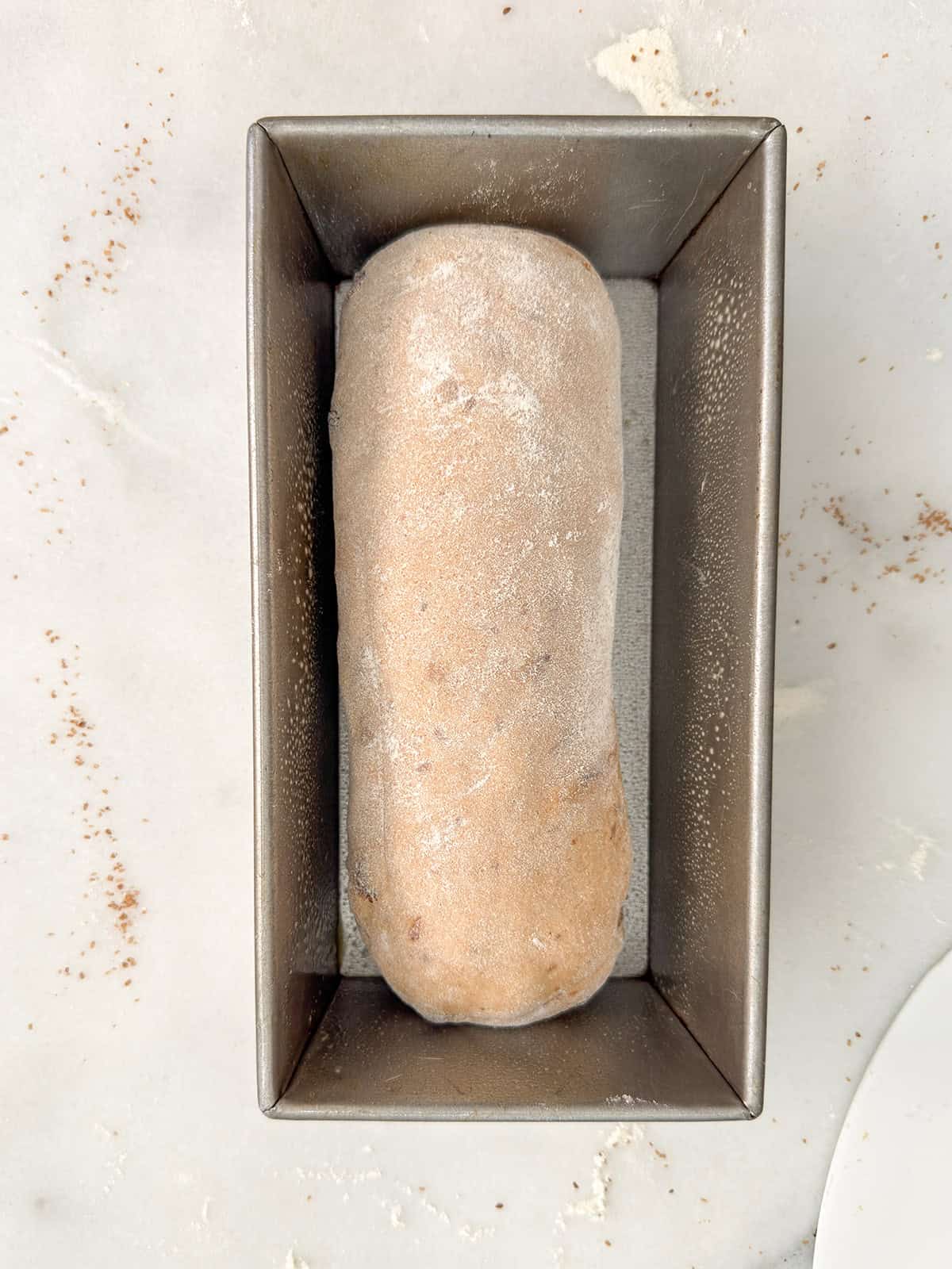 Shaped whole wheat cinnamon raisin bread loaf in a loaf pan before the second rise.